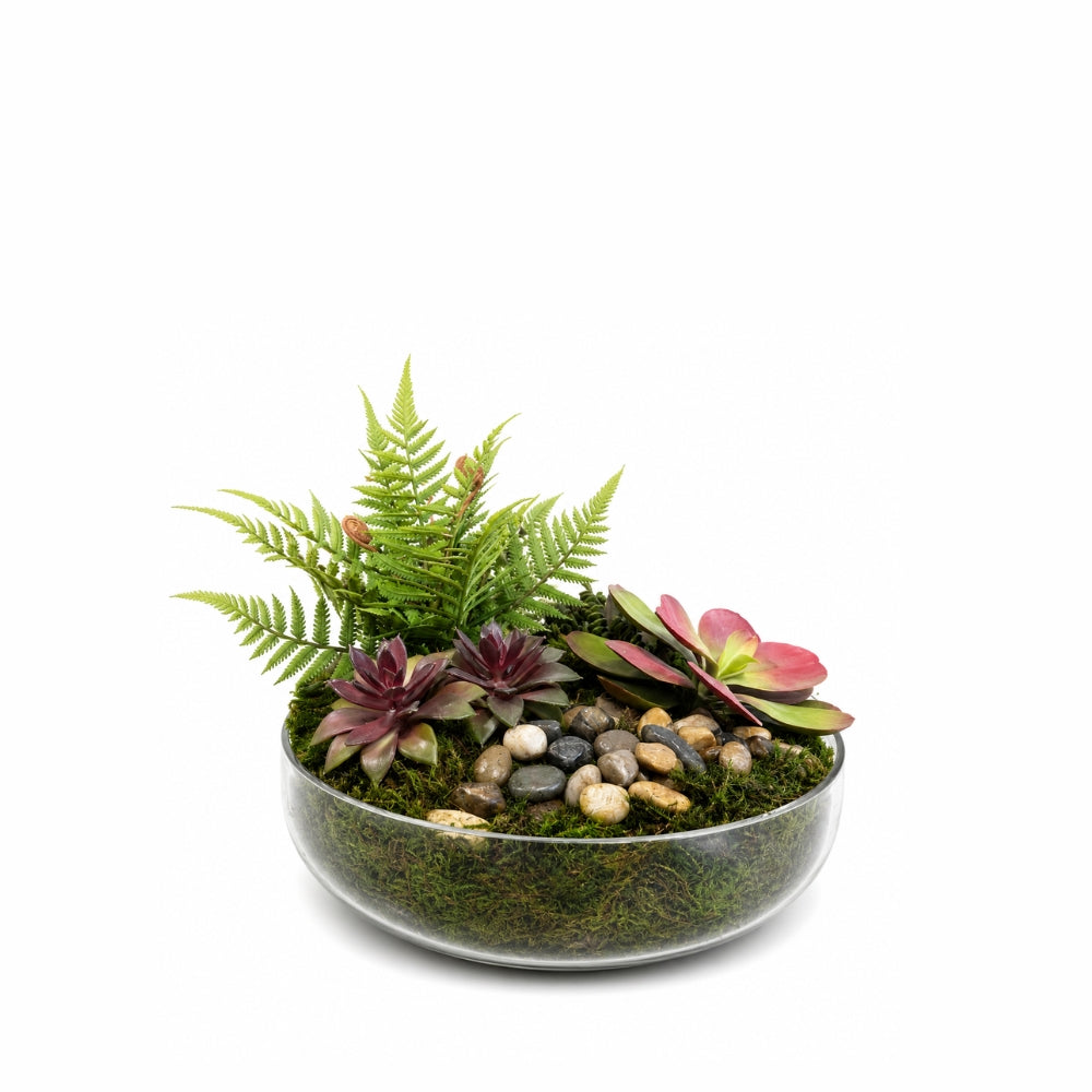 13.5" Sadie Bowl with Succulent Arrangement