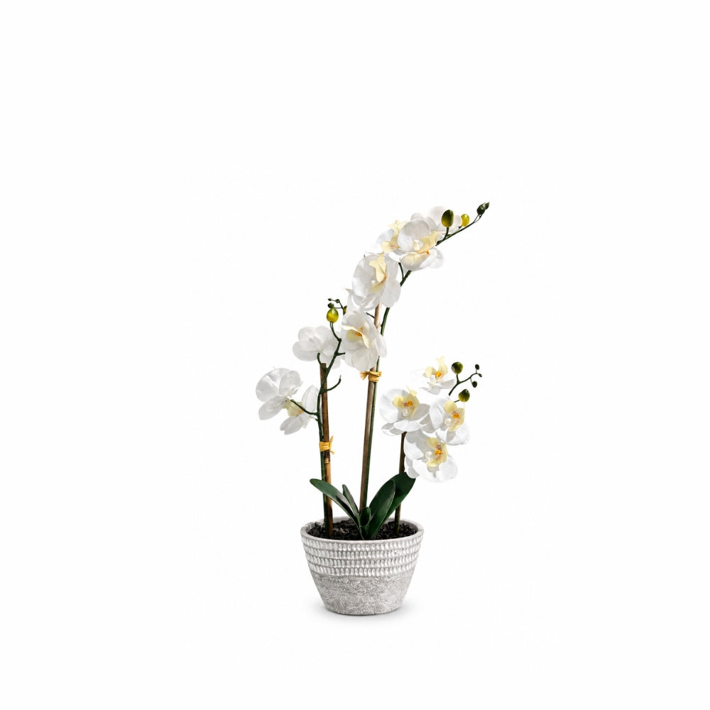 White Fake Orchids Flowers in Pot Bendable Faux Orchids Artificial Flowers Washable Silk Orchid Phalaenopsis Decor for Home Wedding Table Centerpiece Bathroom Office