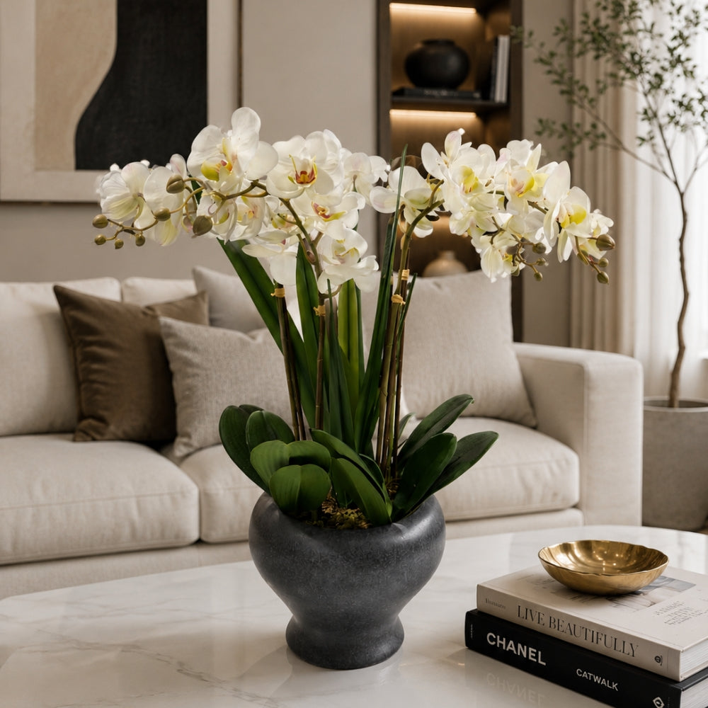 24"H Artificial Phalaenopsis Orchids with Succulents Floral Arrangement in Pot